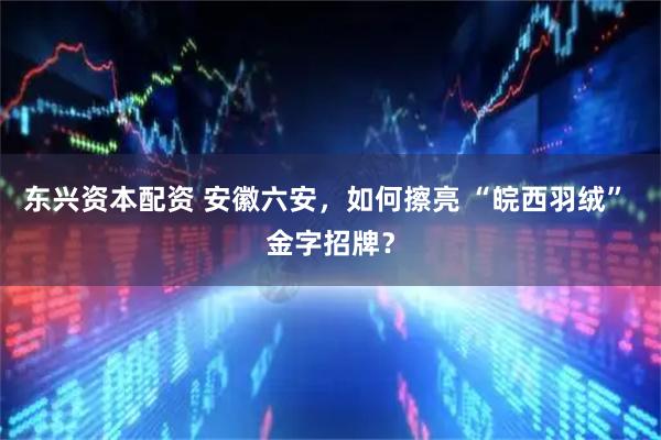 东兴资本配资 安徽六安，如何擦亮 “皖西羽绒” 金字招牌？