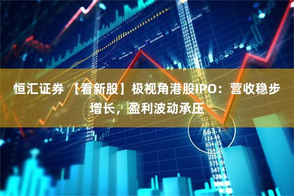 恒汇证券 【看新股】极视角港股IPO：营收稳步增长，盈利波动承压